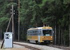 VT13 nach Litschau (6)